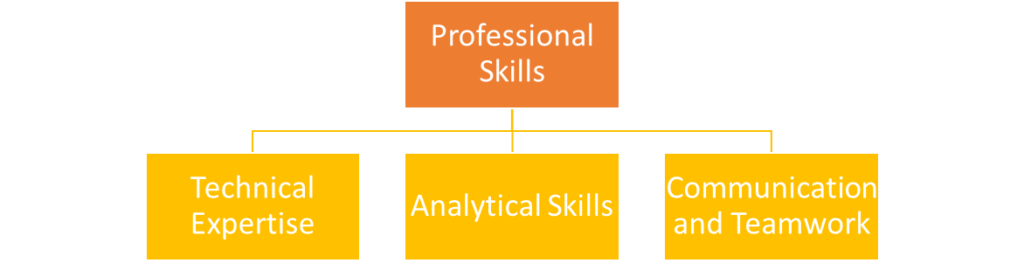 Professional Skills
	Technical Expertise
	Analytical Skills
	Communication and Teamwork
