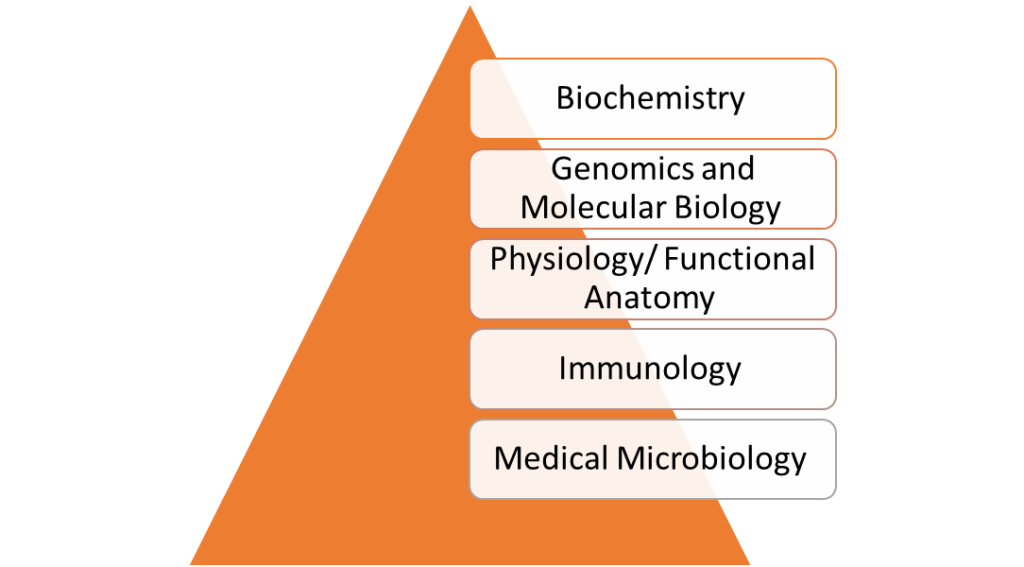 Biomedical Sciences- 15%
Biochemistry 
Genomics and Molecular Biology 
Physiology/ Functional Anatomy 
Immunology 
Medical Microbiology 
