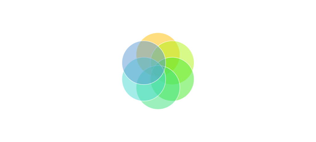 Pharmaceutical Sciences- 25%
Pharmaceutics and Drug Delivery Systems 
Pharmacokinetics and Biopharmaceutics 
Medicinal Chemistry 
Pharmacology 
Toxicology and Clinical Toxicology 
Biotechnology and Pharmacogenetics 
