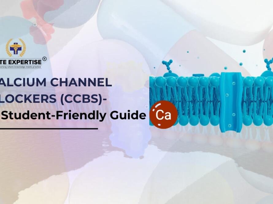 Calcium Channel Blockers-A Student Friendly Guide