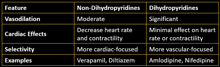 Comparison of Non-Dihydropyridines vs. Dihydropyridines 