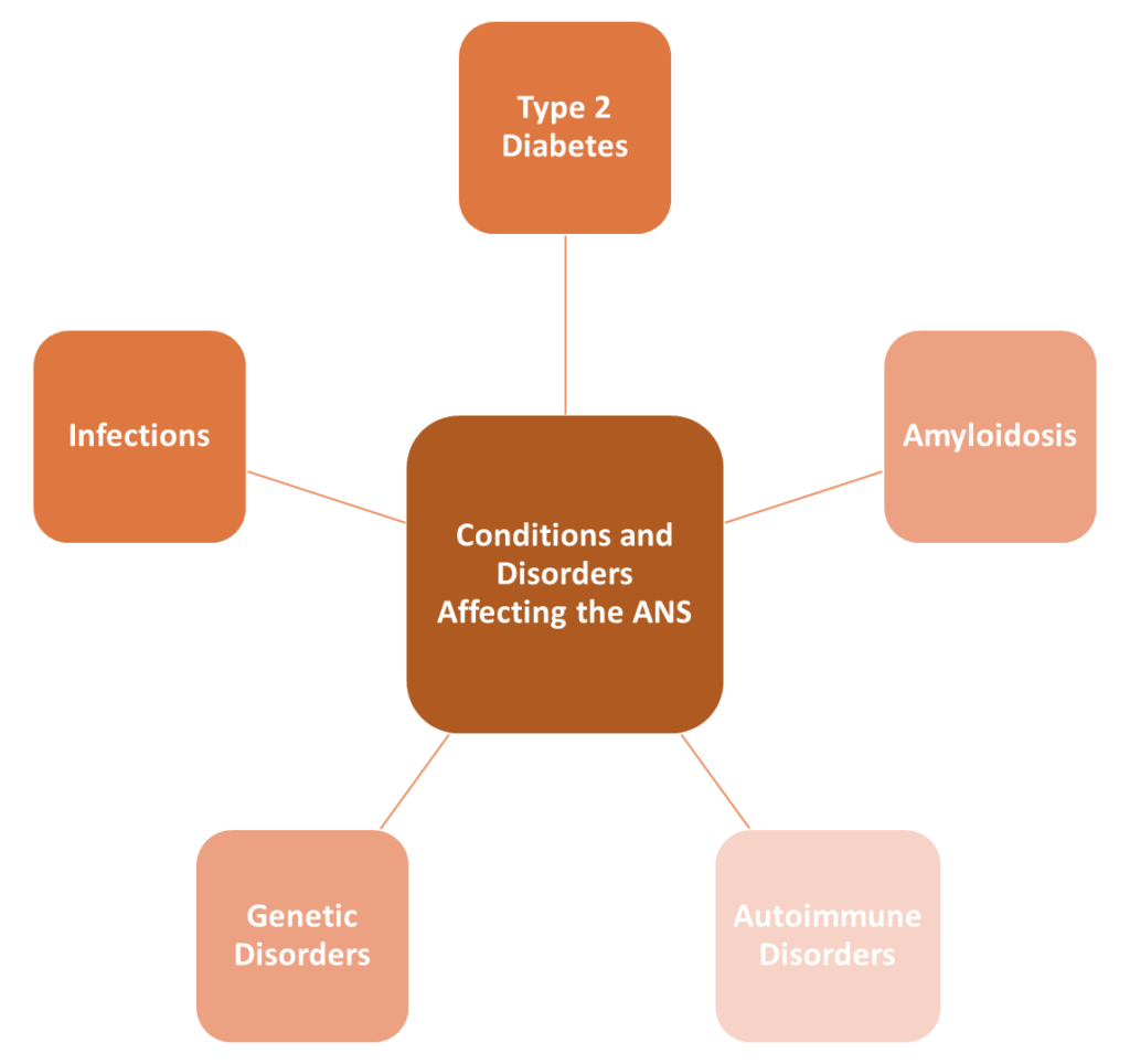 Conditions and Disorders Affecting the ANS